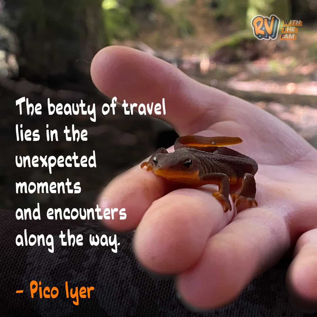 The beauty of travel lies in the unexpected moments and encounters along the way.