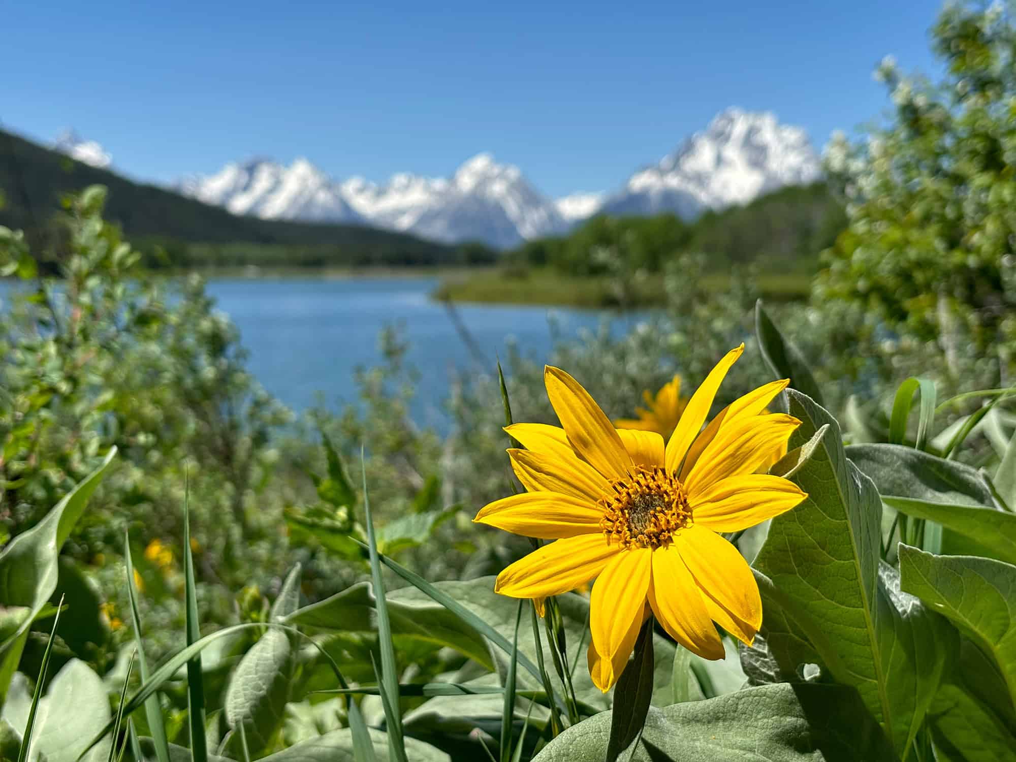 My Top 10 Favorite Travel Quotes My Top 10 Favorite Travel Quotes