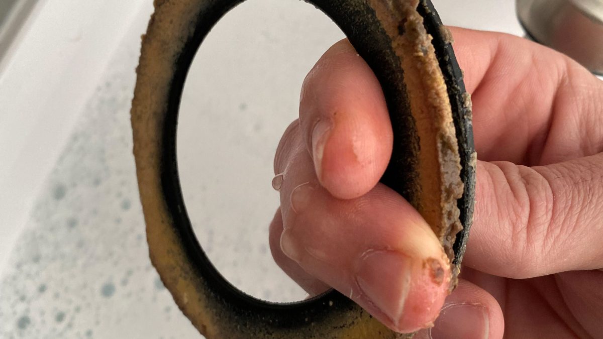 Cleaning a disgusting camper toilet seal.