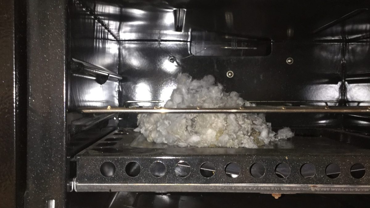 Mice with a nest built in a camper oven.